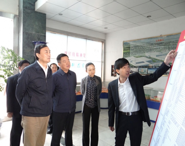 湖南省各領(lǐng)導聽(tīng)取德天發(fā)展情況
